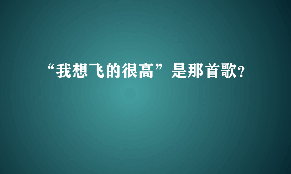 “我想飞的很高”是那首歌？