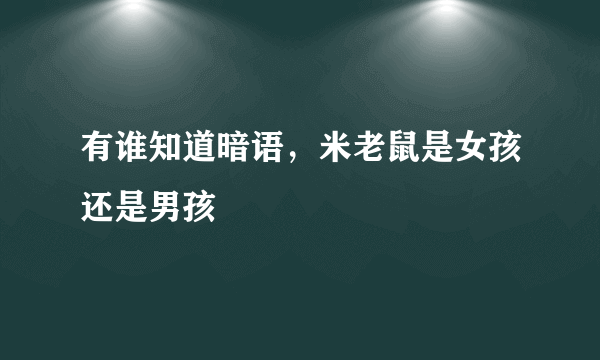 有谁知道暗语，米老鼠是女孩还是男孩