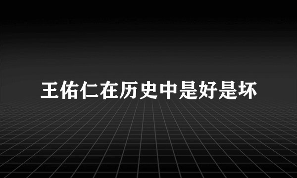 王佑仁在历史中是好是坏