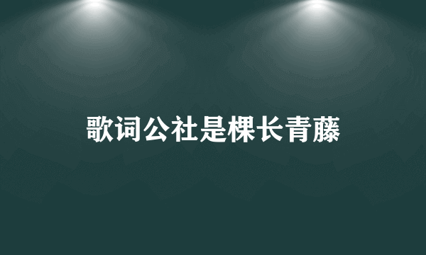 歌词公社是棵长青藤