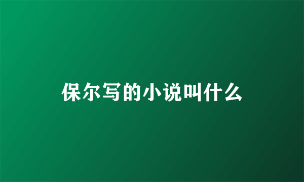 保尔写的小说叫什么