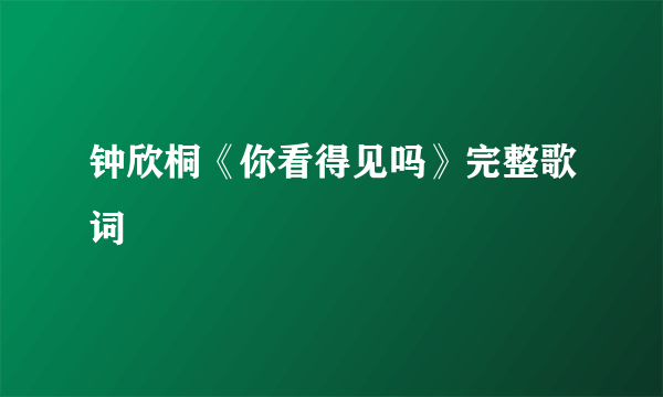 钟欣桐《你看得见吗》完整歌词