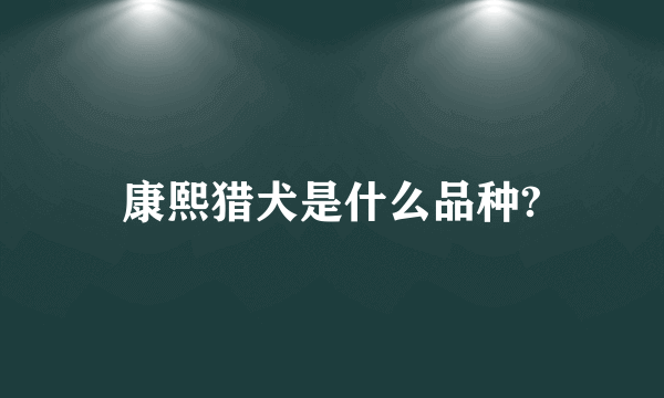 康熙猎犬是什么品种?