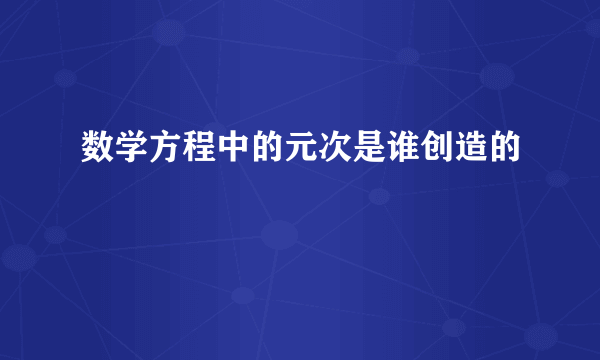 数学方程中的元次是谁创造的