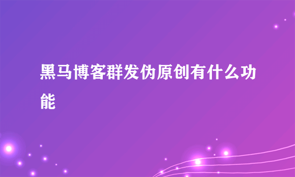 黑马博客群发伪原创有什么功能