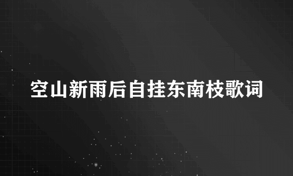 空山新雨后自挂东南枝歌词