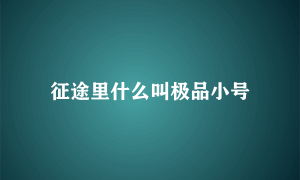 征途里什么叫极品小号