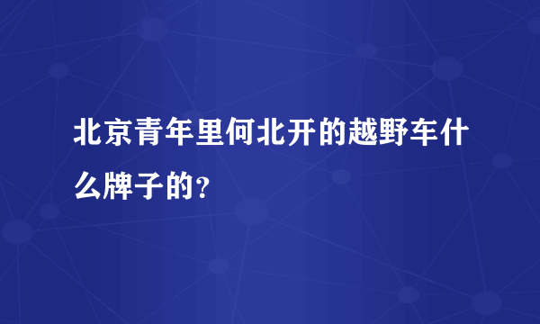 北京青年里何北开的越野车什么牌子的？