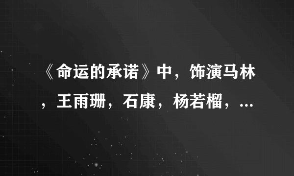 《命运的承诺》中，饰演马林，王雨珊，石康，杨若榴，孟凡的分别是谁？名字