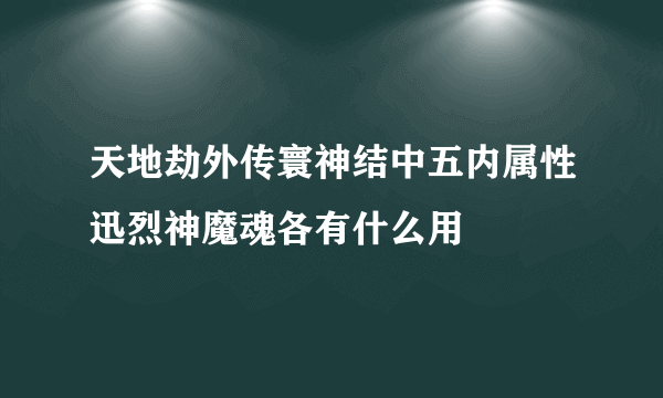 天地劫外传寰神结中五内属性迅烈神魔魂各有什么用