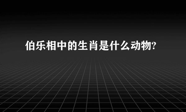 伯乐相中的生肖是什么动物?