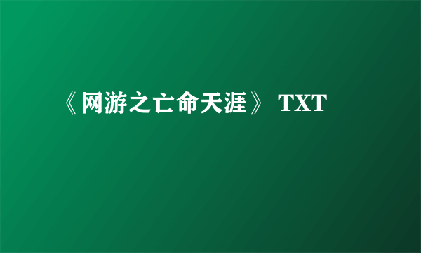 《网游之亡命天涯》 TXT