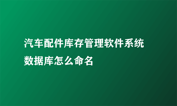 汽车配件库存管理软件系统 数据库怎么命名