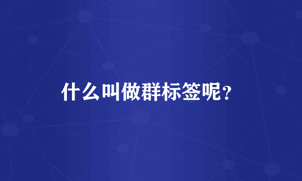 什么叫做群标签呢？