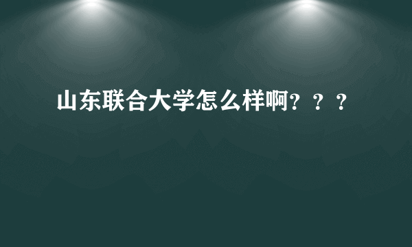 山东联合大学怎么样啊？？？