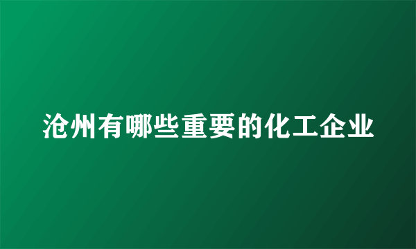 沧州有哪些重要的化工企业