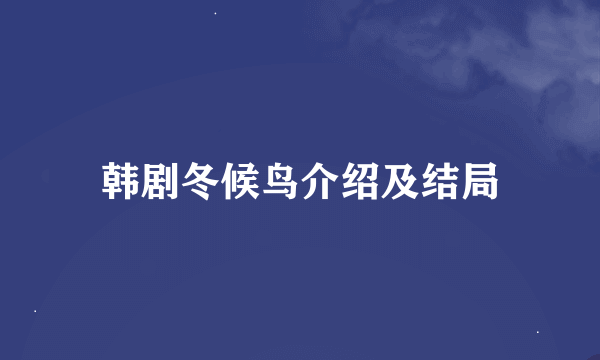 韩剧冬候鸟介绍及结局