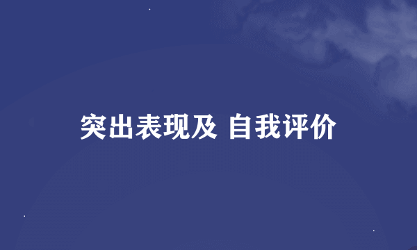 突出表现及 自我评价