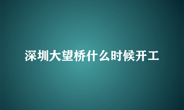 深圳大望桥什么时候开工