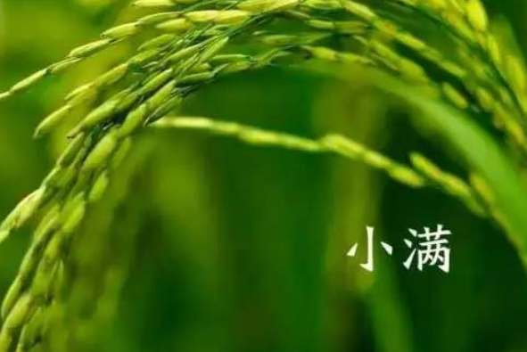 小满是什么季节