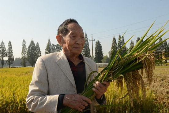 袁隆平的生平事迹