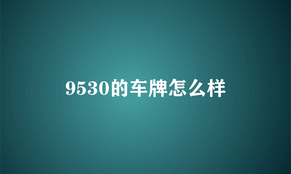 9530的车牌怎么样