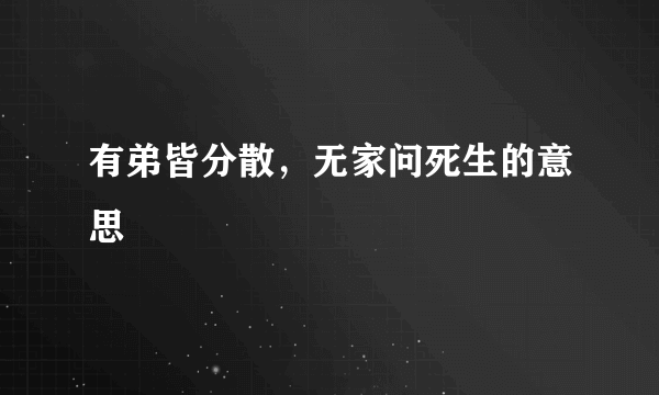 有弟皆分散，无家问死生的意思