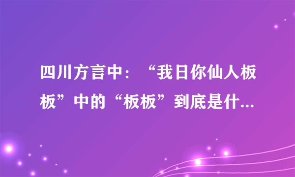 四川方言中：“我日你仙人板板”中的“板板”到底是什么意思？？求解？？？