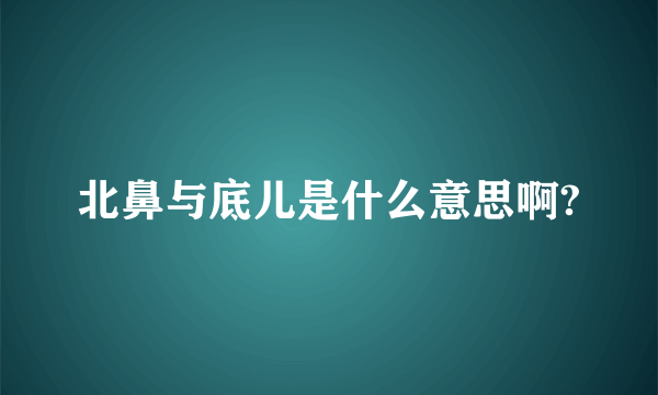 北鼻与底儿是什么意思啊?