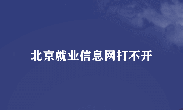 北京就业信息网打不开