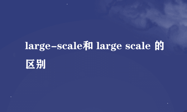 large-scale和 large scale 的区别