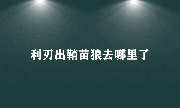 利刃出鞘苗狼去哪里了