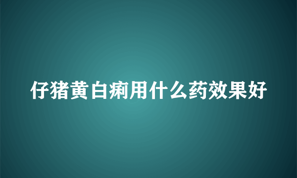 仔猪黄白痢用什么药效果好