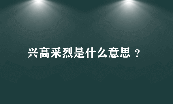 兴高采烈是什么意思 ？