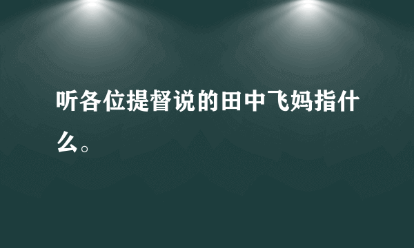 听各位提督说的田中飞妈指什么。