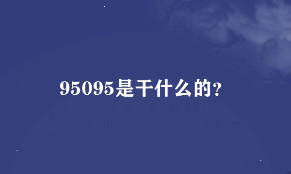 95095是干什么的？