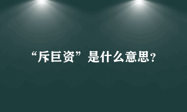 “斥巨资”是什么意思？