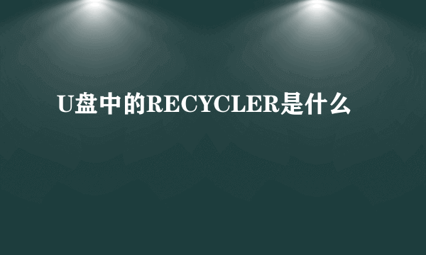 U盘中的RECYCLER是什么