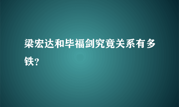 梁宏达和毕福剑究竟关系有多铁？