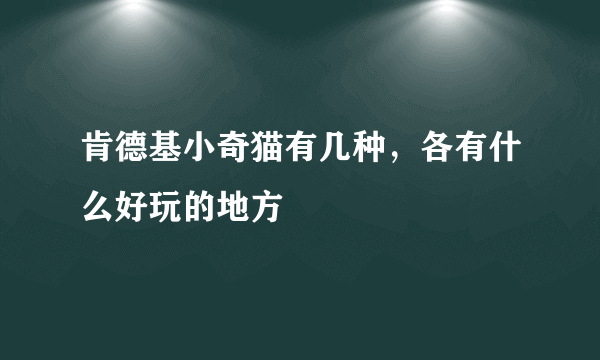 肯德基小奇猫有几种，各有什么好玩的地方