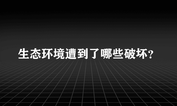 生态环境遭到了哪些破坏？