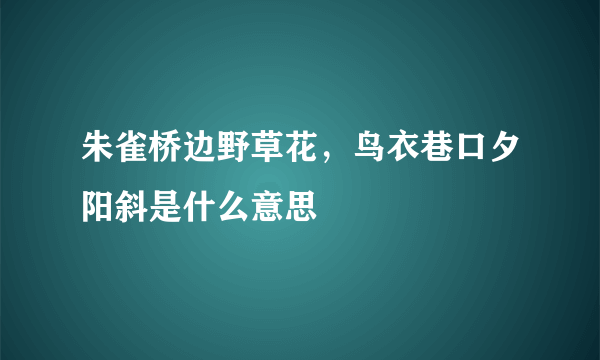 朱雀桥边野草花，鸟衣巷口夕阳斜是什么意思