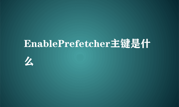 EnablePrefetcher主键是什么