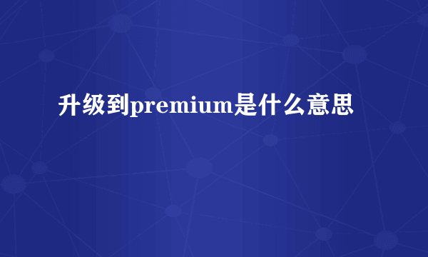 升级到premium是什么意思