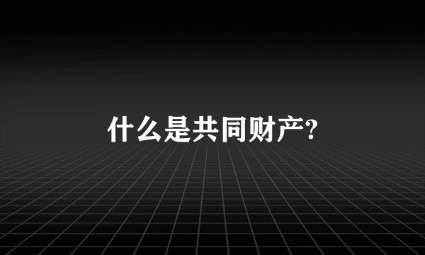 什么是共同财产?