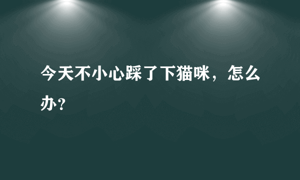 今天不小心踩了下猫咪，怎么办？