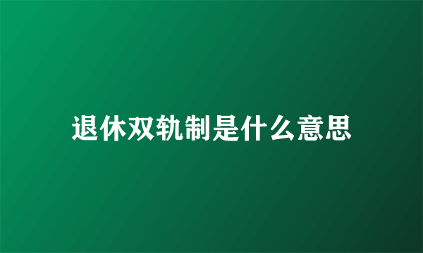 退休双轨制是什么意思