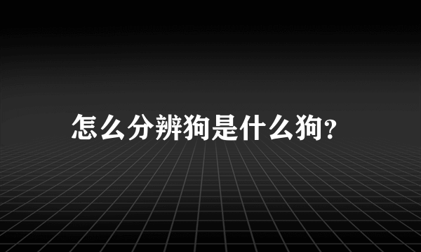 怎么分辨狗是什么狗？