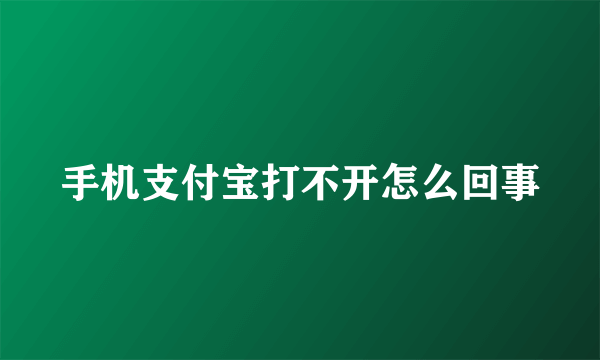 手机支付宝打不开怎么回事