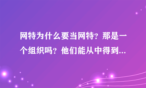 网特为什么要当网特？那是一个组织吗？他们能从中得到什么好处吗？？？为什么要把网络搞乱？？？